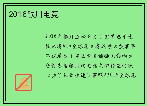 2016银川电竞